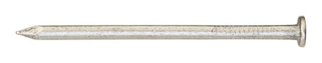 Ace 6D 2 in. Framing Bright Steel Nail Flat Head 1 lb