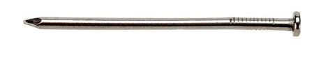 Ace 6D 2 in. Common Bright Steel Nail Round Head 5 lb