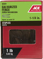 Ace 0.25 in. W X 1-1/4 in. L Galvanized Steel Fence Staples 1 lb