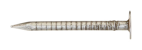 Ace 1-5/8 in. Drywall Bright Steel Nail Flat Head 1 lb