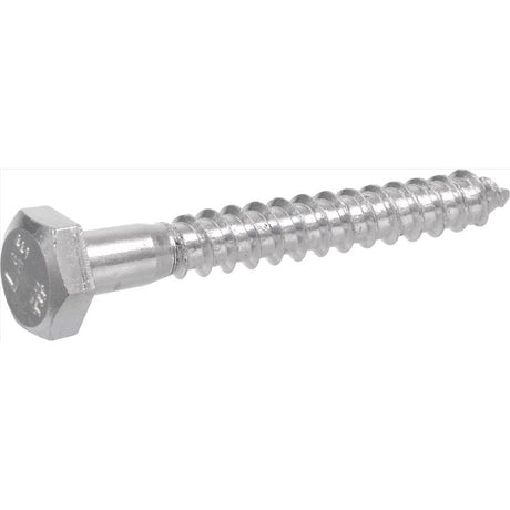 HILLMAN 5/16 in. X 1-1/4 in. L Hex Zinc-Plated Steel Lag Screw 100 pk