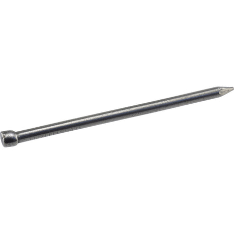 HILLMAN 6D 2 in. Finishing Polished Steel Nail Large Head, Pack of 6