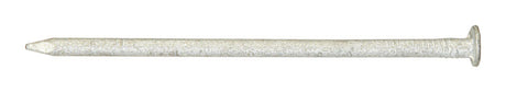 Ace 7D 2-1/4 in. Box Hot-Dipped Galvanized Steel Nail Flat Head 1 lb