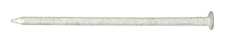 Ace 8D 2-1/2 in. Box Hot-Dipped Galvanized Steel Nail Flat Head 1 lb