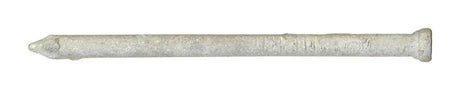 Ace 8D 2-1/2 in. Finishing Hot-Dipped Galvanized Steel Nail Countersunk Head 1 lb
