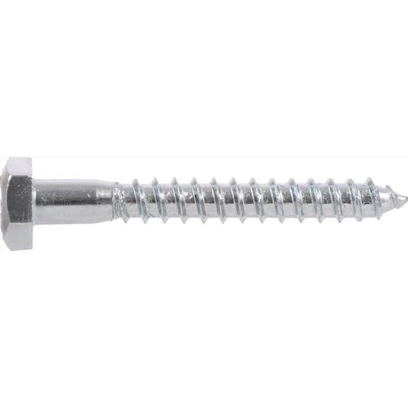 HILLMAN 3/8 in. X 1 in. L Hex Zinc-Plated Steel Lag Screw 100 pk