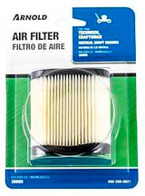 Arnold 490-200-0021 Replacement Air Filter