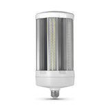 BULB CYL LED DL 20000L 5K 175W