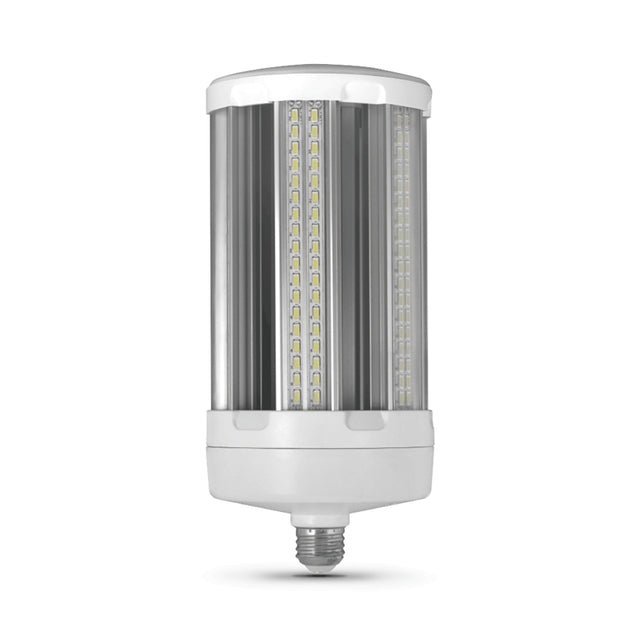 BULB CYL LED DL 20000L 5K 175W
