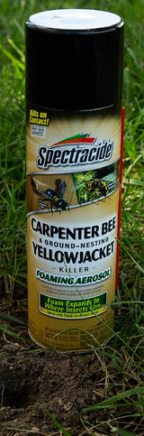 Spectracide 53371 Killer Foam, Liquid, Spray Application, 16 oz