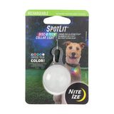 DOG COLLAR LIGHT RECHRG DISC-O