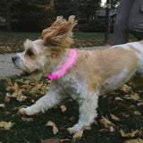 LED SFTY NCKLCE RECHRG TD PINK