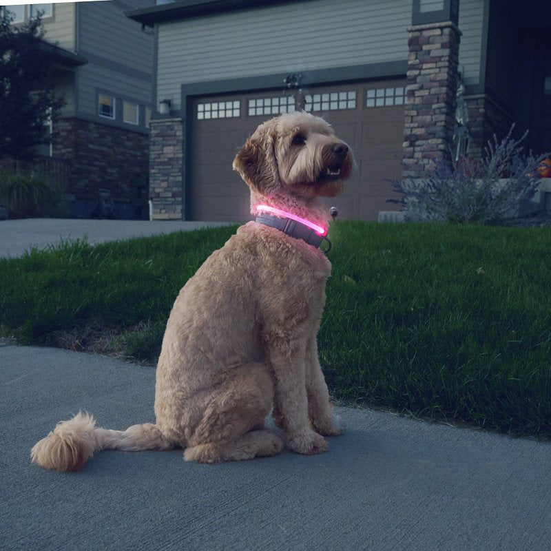 LED SFTY NCKLCE RECHRG TD PINK