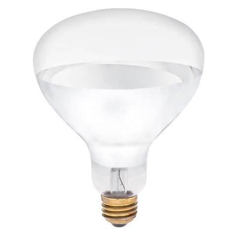 Westinghouse 250 W R40 Reflector Incandescent Bulb E26 (Medium) White 1 pk, Pack of 6