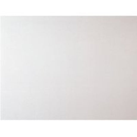 USG Stonehurst Series 380 Acoustic Ceiling Panel, 48 in L, 24 in W, 9/16 in Thick, Non-Directional Pattern, White