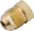 Watts 39-P Series 39-P-8 Pipe Plug, 1/2 in, Flare, Brass, Pack of 5