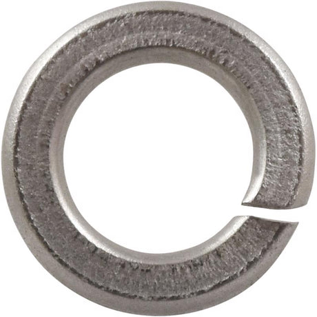 HILLMAN No. 6 in. D Stainless Steel Split Lock Washer 100 pk