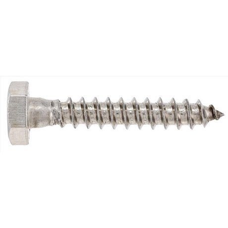 HILLMAN 1/4 in. X 1-1/2 in. L Hex Stainless Steel Lag Screw 50 pk