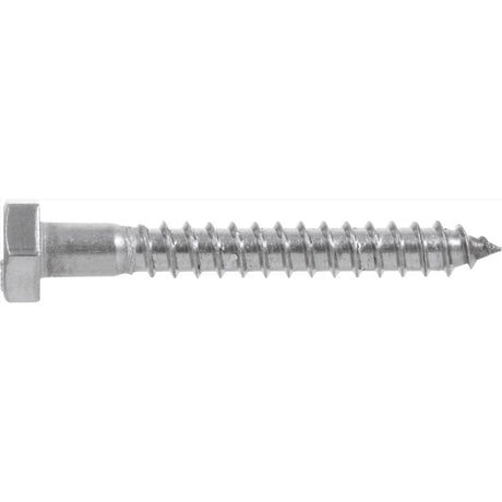 HILLMAN 1/2 in. X 4 in. L Hex Stainless Steel Lag Screw 25 pk
