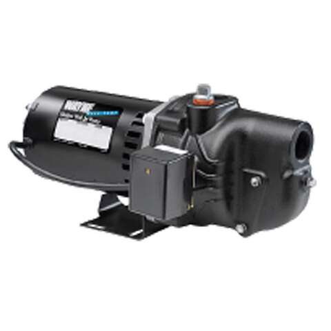 Wayne 3/4 HP 750 gph Cast Iron Shallow Jet Well Pump