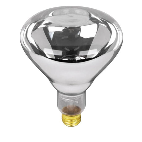 Feit Electric 250R40/1 Incandescent Reflector Heat Bulb, 250 W, R40 Lamp, E26 Medium Lamp Base, 2200 Lumens, Clear Lamp