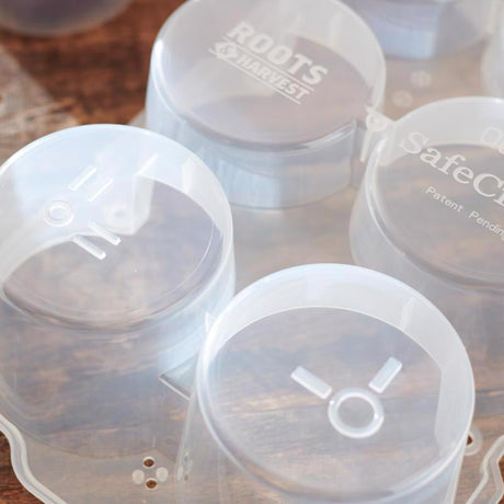 Roots & Harvest Jar Safe Crate 1 pk