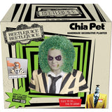 Chia Pet Beetlejuice Decorative Planter Clay 1 pk