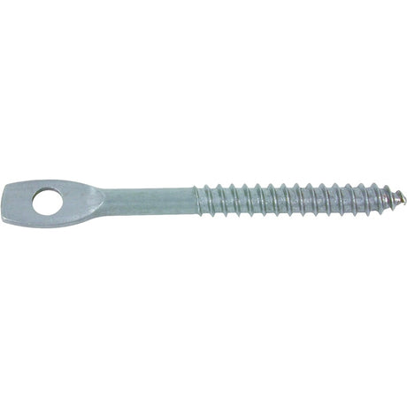 Toolpro 05015 Eye Lag Screw, Carbon Steel, Zinc