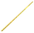 Charlotte Pipe CTS 12007 0200R Cut Pipe, 3/4 in, 2 ft L, CPVC