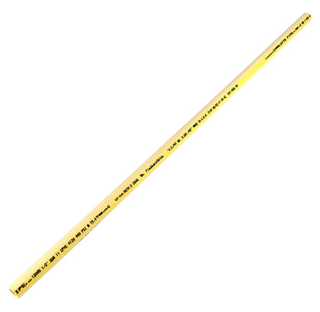 Charlotte Pipe CTS 12007 0200R Cut Pipe, 3/4 in, 2 ft L, CPVC