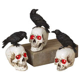 Gerson 8 in. Prelit Skull with Crow Halloween Decor, Pack of 12