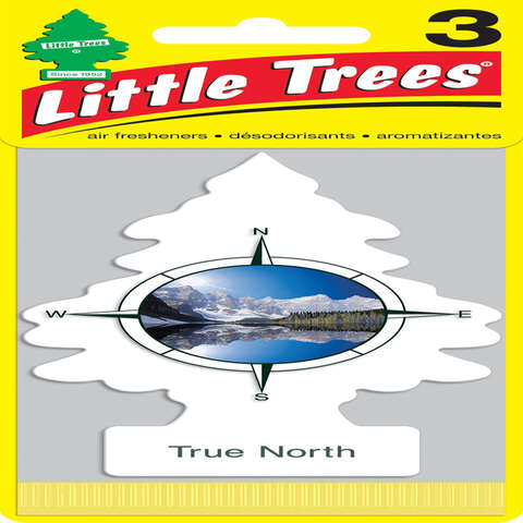 Little Trees True North Scent Car Air Freshener Solid 3 pk, Pack of 8