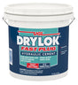 Drylok Fast Plug Series 00924 Hydraulic Cement, Gray, Powder, 10 lb, Pack of 2