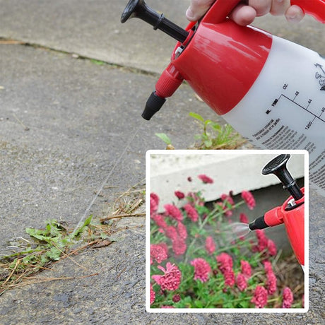 Chapin 1002 Air Sprayer, Cone Nozzle, Plastic