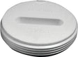 Canplas 193063 Toe Saver Floor Plug, 3 in, MNPT, PVC, White
