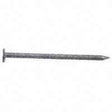 Maze STORMGUARD R-115 Series R115530 Hand Drive Siding Nail, 2 in L, 13 ga, Carbon Steel
