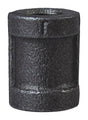 ProSource B220 6 Pipe Coupling, 1/8 in, FIP, Steel, SCH 40 Schedule, 300 psi Pressure