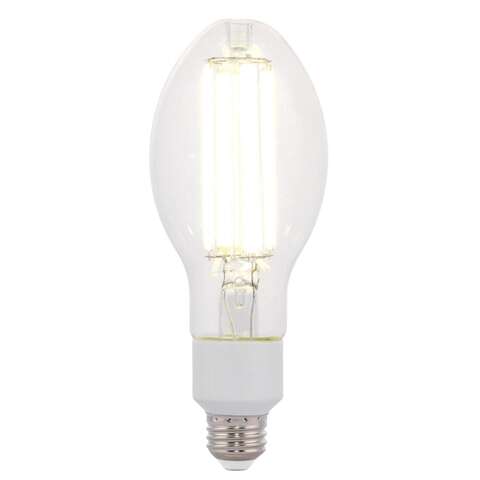 Westinghouse ED23.5 E26 (Medium) Filament LED Bulb Daylight 200 Watt Equivalence 1 pk