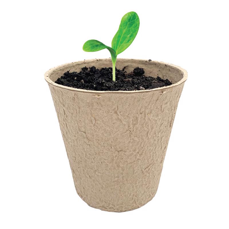 Ferry-Morse 15 Cells 3 in. H X 3 in. W X 3 in. L Seed Starting Peat Pot 15 pk