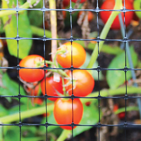 Garden Craft 36 in. H X 25 ft. L Plastic Fencing 1 in. X 1 in. in.