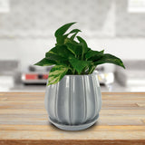 Trendspot Contour 7.28 in. H X 8 in. W X 8 in. D X 8 in. D Ceramic Planter Gray, Pack of 2