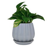 Trendspot Contour 7.28 in. H X 8 in. W X 8 in. D X 8 in. D Ceramic Planter Light Blue, Pack of 2