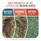 Pennington Smart Patch Bermuda Grass Full Sun Seed/Fertilizer/Mulch Repair Kit 5 lb