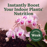 Miracle-Gro 200195 Orchid Plant Food Mist, 8 oz Bottle, Liquid, 0.02-0.02-0.02 N-P-K Ratio