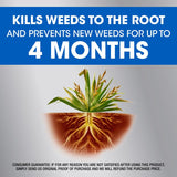 Roundup Dual Action Weed and Grass Killer + Preventer RTU Liquid 1 gal, Pack of 4