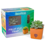 JT Eaton ZendoZones Fruit Fly Trap 1 box, Pack of 6