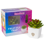 JT Eaton ZendoZones Fruit Fly Trap 1 box, Pack of 6