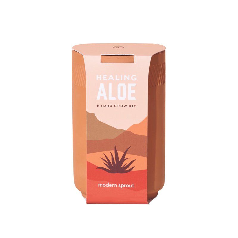 Modern Sprout Healing Aloe Succulent Seed Starter Kit, Pack of 6