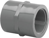 Lasco 830020BC Pipe Coupling, 2 in, FIP, PVC, SCH 80 Schedule