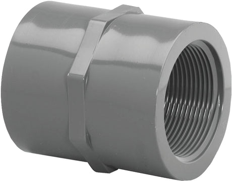 Lasco 830020BC Pipe Coupling, 2 in, FIP, PVC, SCH 80 Schedule